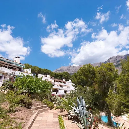 Don Cayo Altea la Vieja